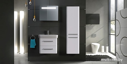 Мебель для ванных комнат Belux Шкаф-пенал Сканди ПН40 (белый глянцевый)