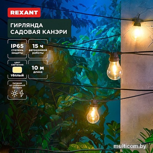 Садовая гирлянда Rexant Канэри 602-2421