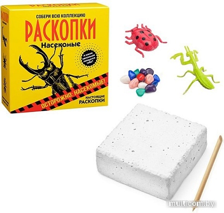 Набор для опытов Bumbaram Раскопки. Насекомые dig-19
