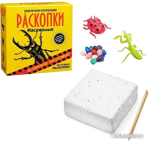 Набор для опытов Bumbaram Раскопки. Насекомые dig-19