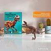 Набор для опытов 4M Раскопай скелет. Велоцираптор 00-13234