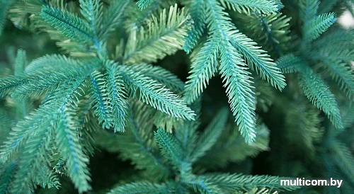 Ель Green Trees Форесто премиум 2.1 м