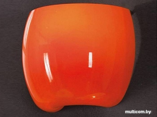 Бра Lussole LSN-0211-01