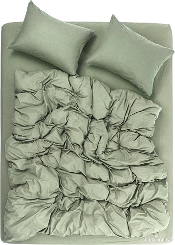 Постельное белье Urban Family Олива сем 70x70 637