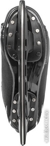 Хоккейные коньки Ricos Eagle PW-206AJ (р.39, черный)