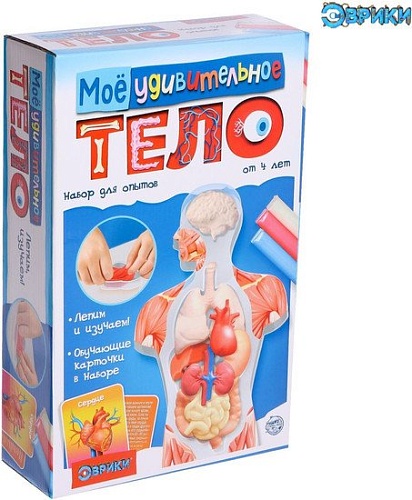 Эврики Мое удивительное тело 5540143
