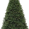 Ель Царь Елка Русская красавица 2.1 м
