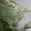 Ель Green Trees Россо премиум 1.2 м