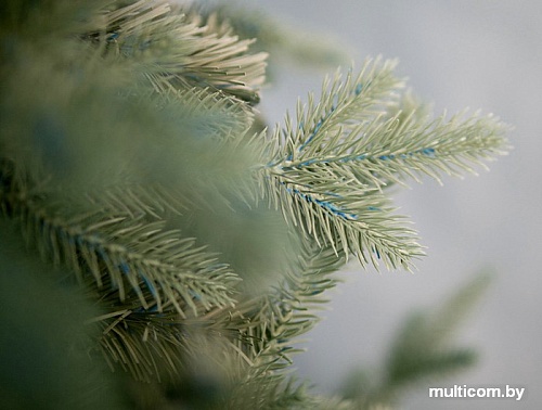 Ель Green Trees Россо премиум 1.2 м