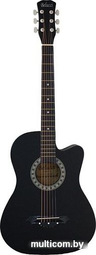 Акустическая гитара Belucci BC3820 BK