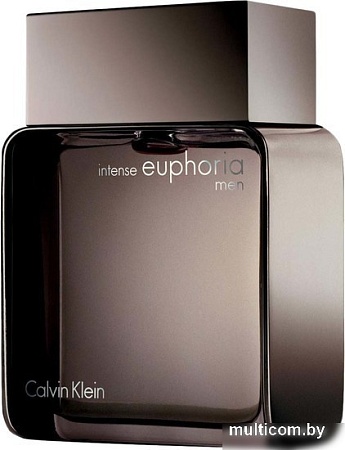 Calvin Klein Intense Euphoria Men EdT (100 мл)