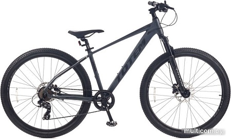 Велосипед Totem Cruiser-29HDA (серый)
