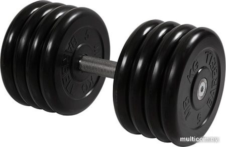 Гантели MB Barbell Профи 41 кг (вращающаяся ручка)