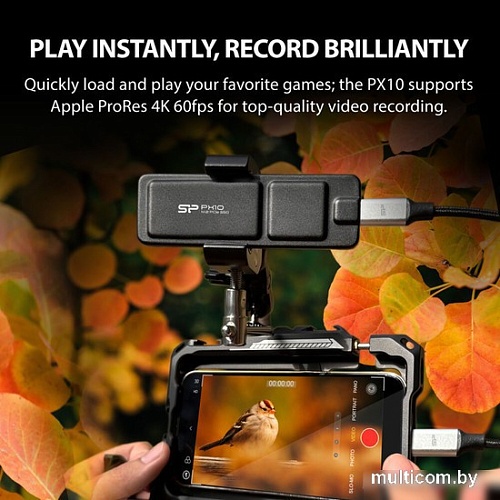 Внешний накопитель Silicon-Power PX10 2TB SP020TBPSDPX10CK