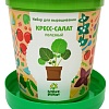 Набор для опытов Happy plant Кресс-салат полезный hpn-33