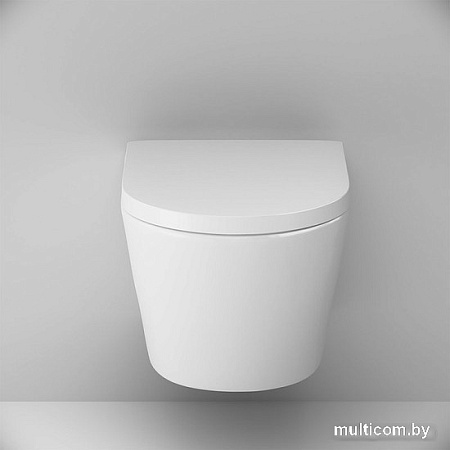 Унитаз подвесной AM.PM Sense C741701SC
