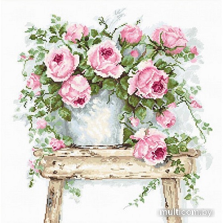 Набор для вышивания Luca-S Цветы на табурете Aida 16 ct BA2332