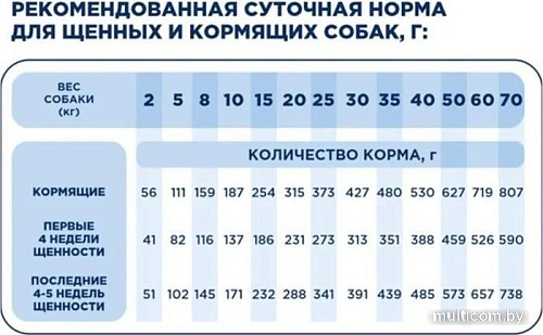 Сухой корм для собак Pet's Brunch Starter для щенков и кормящих с говядиной 4 кг