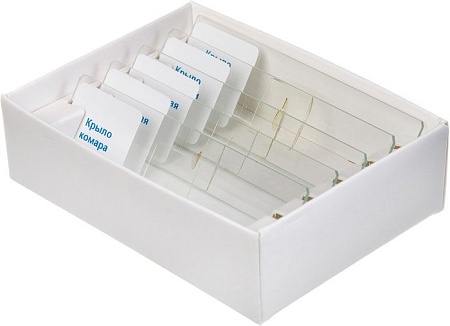 Набор для опытов Bondibon Науки с Буки Слайды для микроскопа насекомые ВВ2709