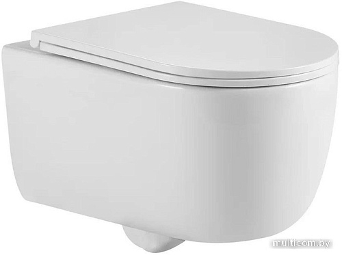 Унитаз Berges Wasserhaus Tornas Rimless 082137