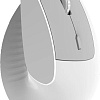 Вертикальная мышь Ajazz i300 (белый)