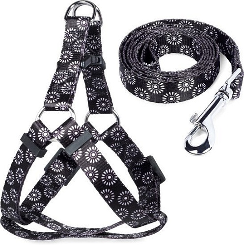 Шлея с поводком Triol Графит 31491006 (XS, черный)