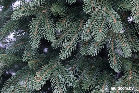 Ель GrandSiti Премиум зеленая 3.5 м