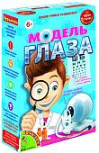 Набор для опытов Bondibon Науки с Буки Модель глаза ВВ1179
