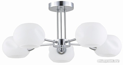 Evoluce Lanta SLE104302-05