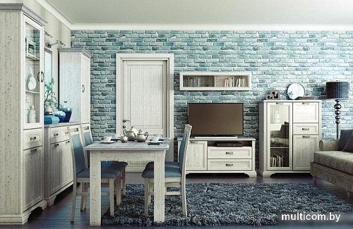 Тумба Anrex Monako RTV 1D2SN (сосна винтаж/дуб анкона)