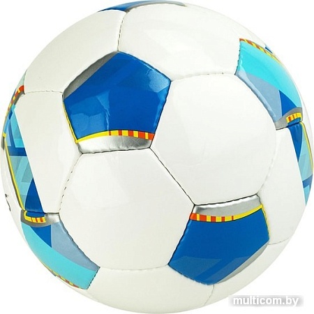 Мяч Torres Match F320025 (5 размер)