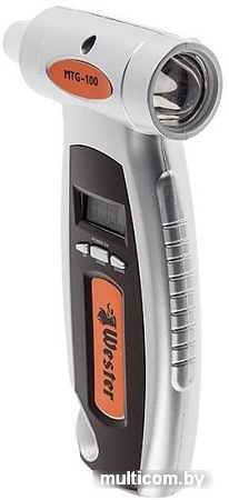 Манометр Wester MTG-100