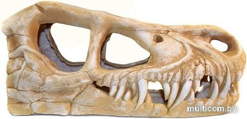 Декорация DekSi Череп динозавра №1004