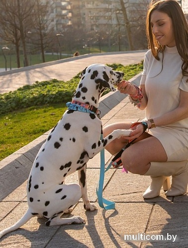 Поводок United Pets Complete Me 2 (L, голубой/оранжевый)
