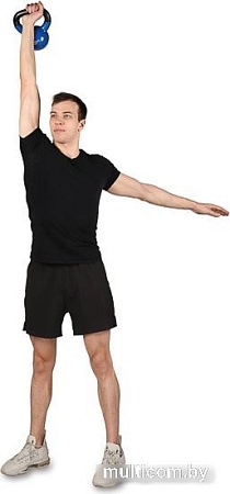 Гиря Indigo IN132 6 кг (черный/синий)