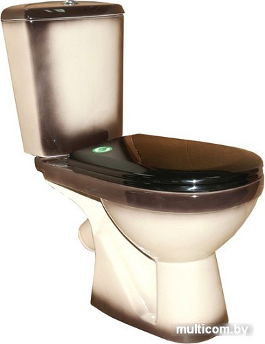 Унитаз Rosa Комфорт (черный)