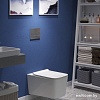 Панель смыва Berges Wasserhaus Novum F2 (матовый хром)
