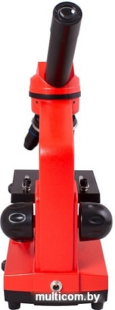 Levenhuk Rainbow 2L (апельсин) 69039