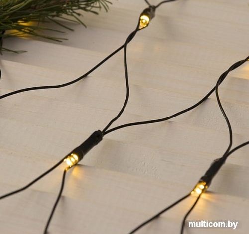 Световая сетка Luazon Сеть 2x2 м 3556876