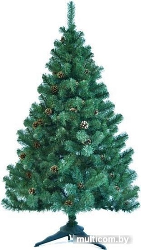Ель Царь Елка Холидей с шишками 2.1 м