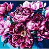 Алмазная мозаика Darvish Пионы DV-9512-12