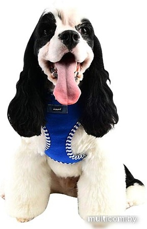 Шлейка Puppia Naunet PASA-HA1607-RB-L (голубой)