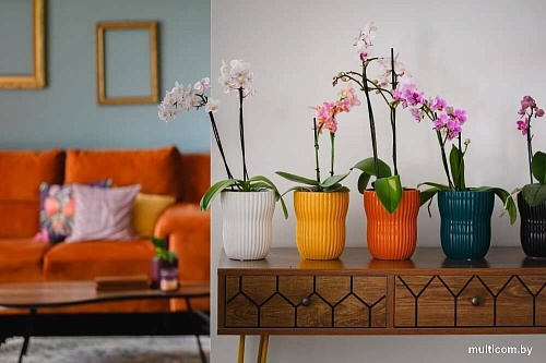 Кашпо Polnix 05.308.13