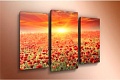 Модульная картина Arthata m-000528 120x80
