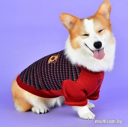 Свитер для животных Puppia Elliott PASD-TS1650-WN-S (S, красный)