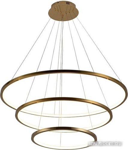 Подвесная люстра LOFT IT Ring 10015/3