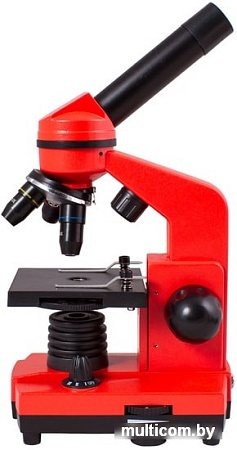 Levenhuk Rainbow 2L (апельсин) 69039