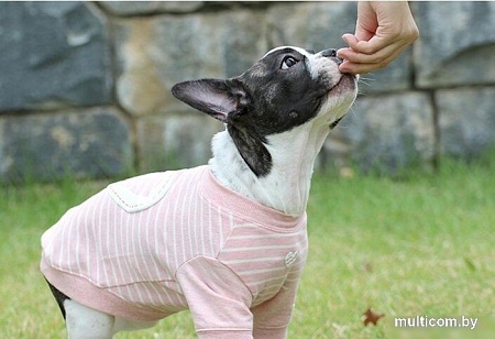 Футболка Pinkaholic Aviana NARA-TS7304-MP-M (розовый)