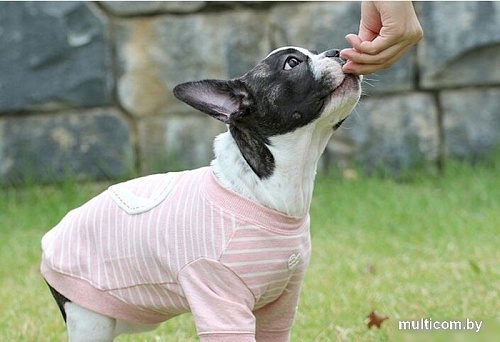 Футболка Pinkaholic Aviana NARA-TS7304-MP-M (розовый)