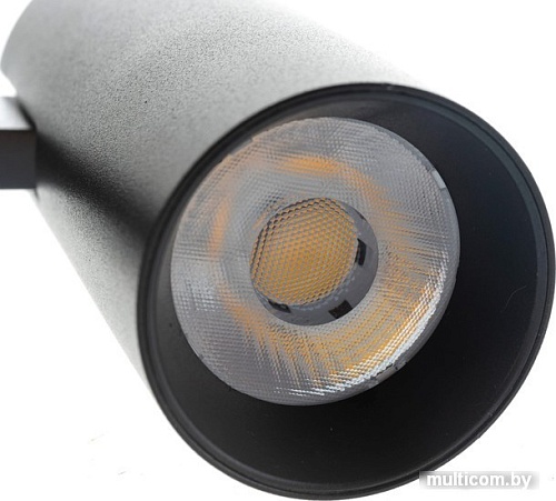 Трековый светильник Gauss TR078
